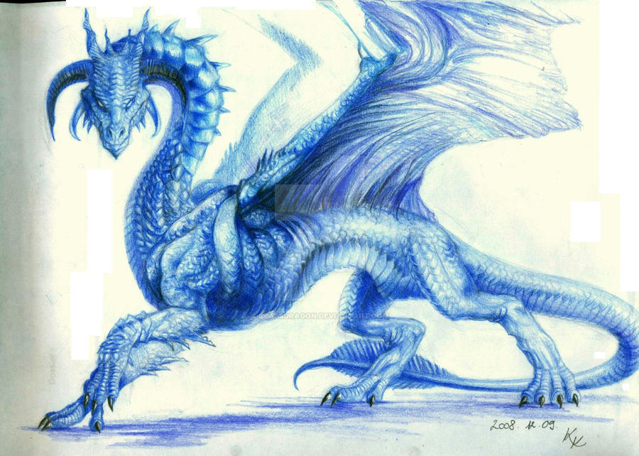 sapphire dragon   reference by brassdragon d1r1ij6