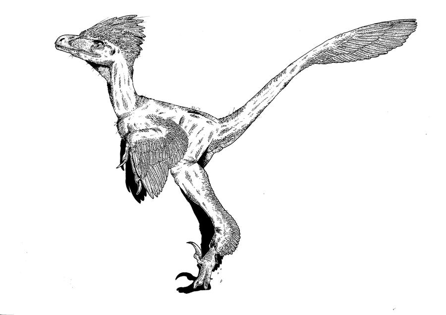 bambiraptor_by_smnt2000-d392mes.jpg