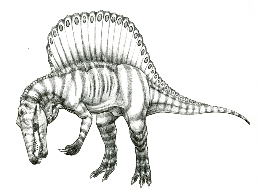mad spinosaurus coloring pages - photo #46