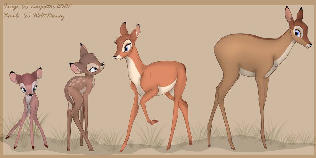 from_fawn_to_doe_by_macpotter.png (1024×513)
