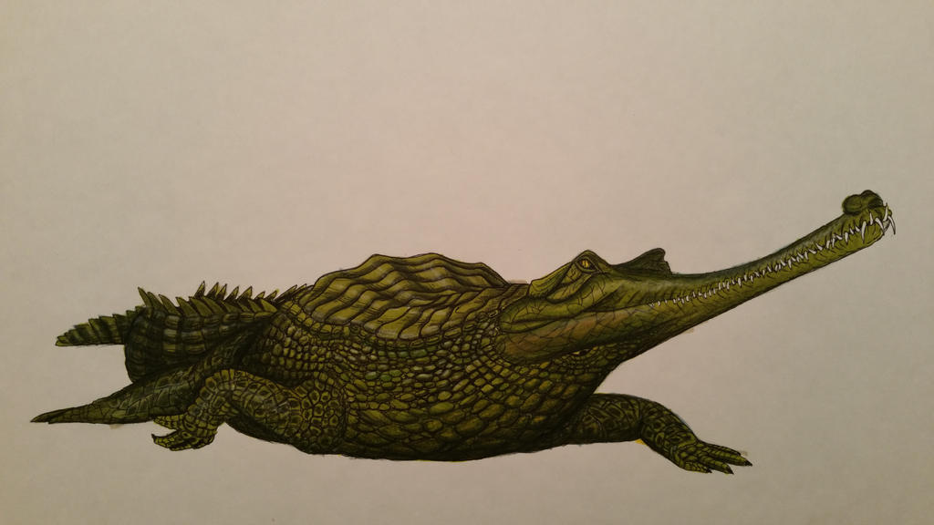 gavialis_pachyrhynchus_by_spinosaurus1-d