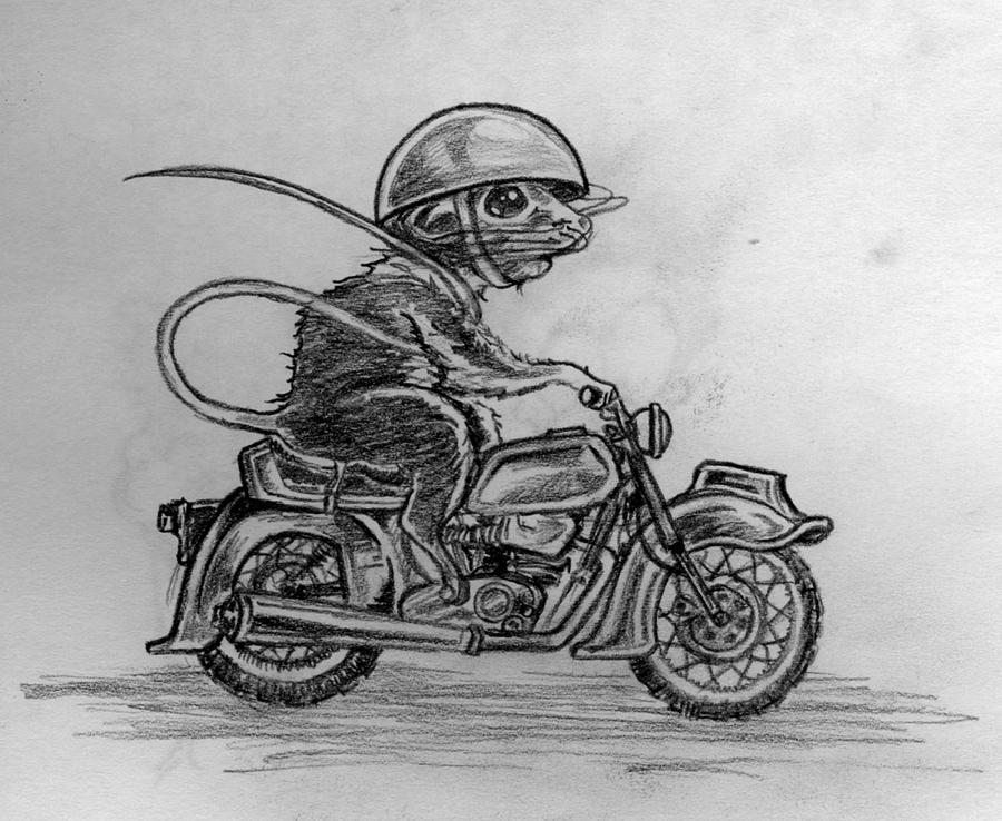motorcycle_mouse_by_saba_do.jpg