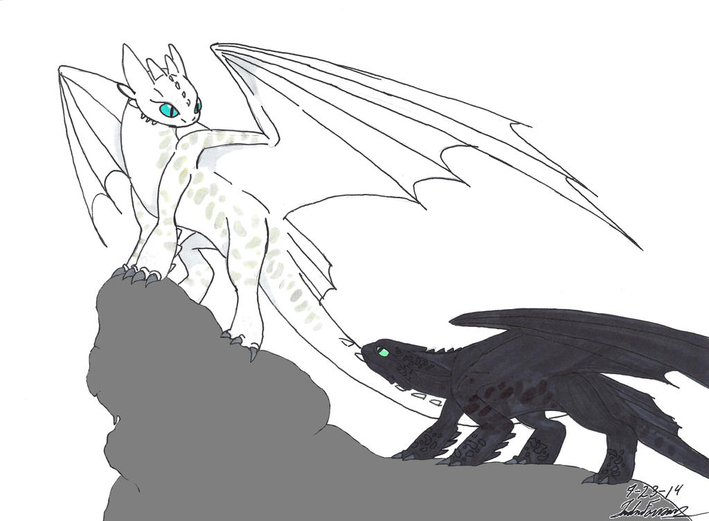 HTTYD ~ Auditions Albino_night_fury_by_clinclang-d7s0agv