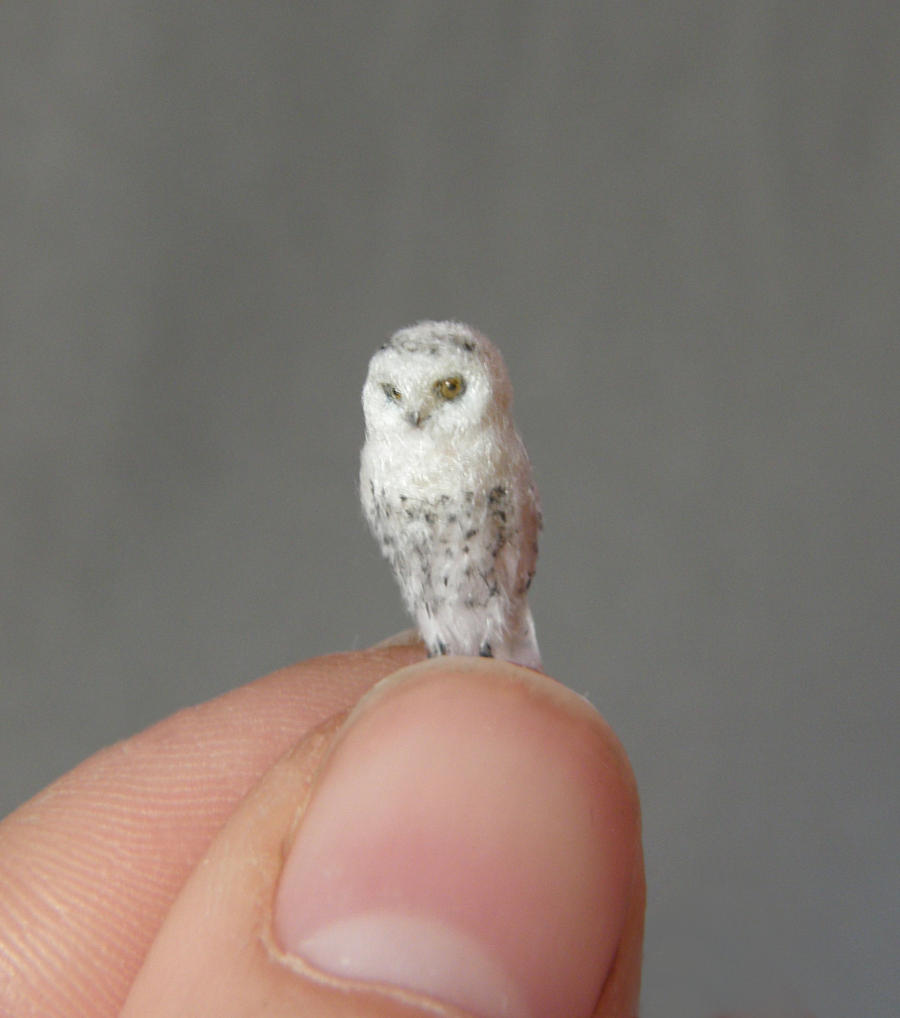 1:24 Scale Snowy owl by AnyaStone on DeviantArt