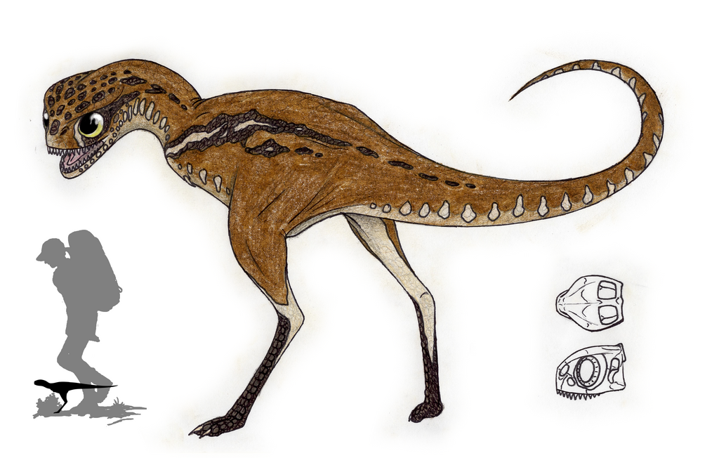 The Living Dinosaurs: Common Hottentot by Pterosaur-Freak ...